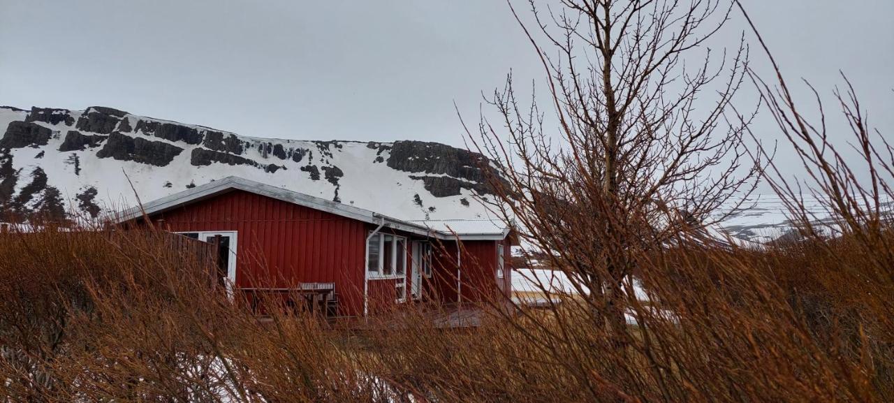 Aegisholt Privete House With Hot Tub Apartment Patreksfjordur Екстериор снимка